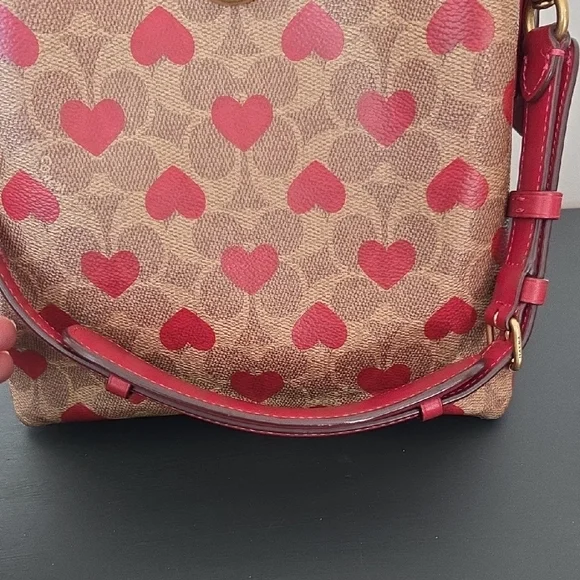 Willow Bucket Bag In Signature Canvas With Heart Print
C8389 - Picture 15 of 16